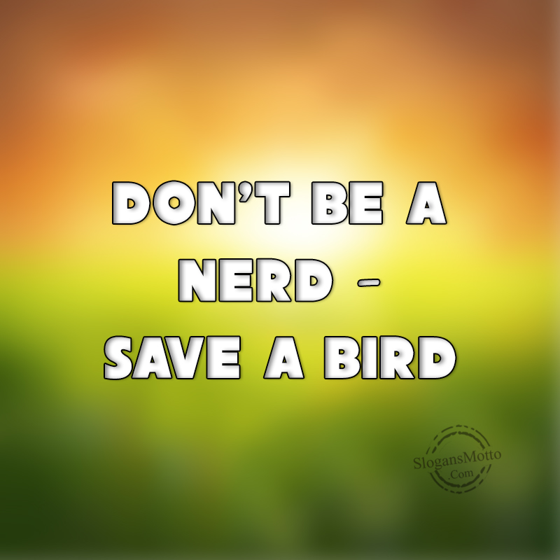 Slogans For Saving Birds