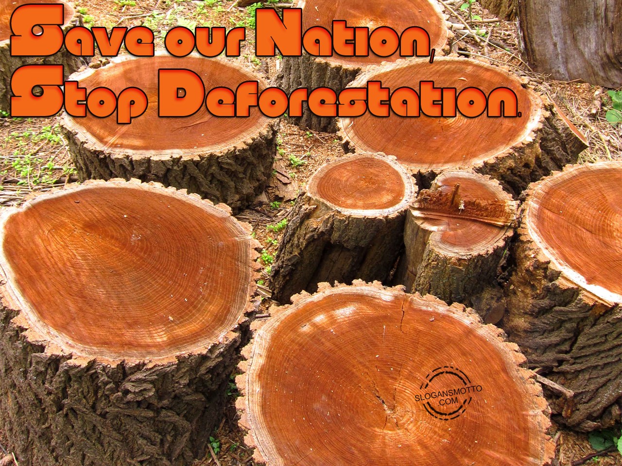 Deforestation Slogans